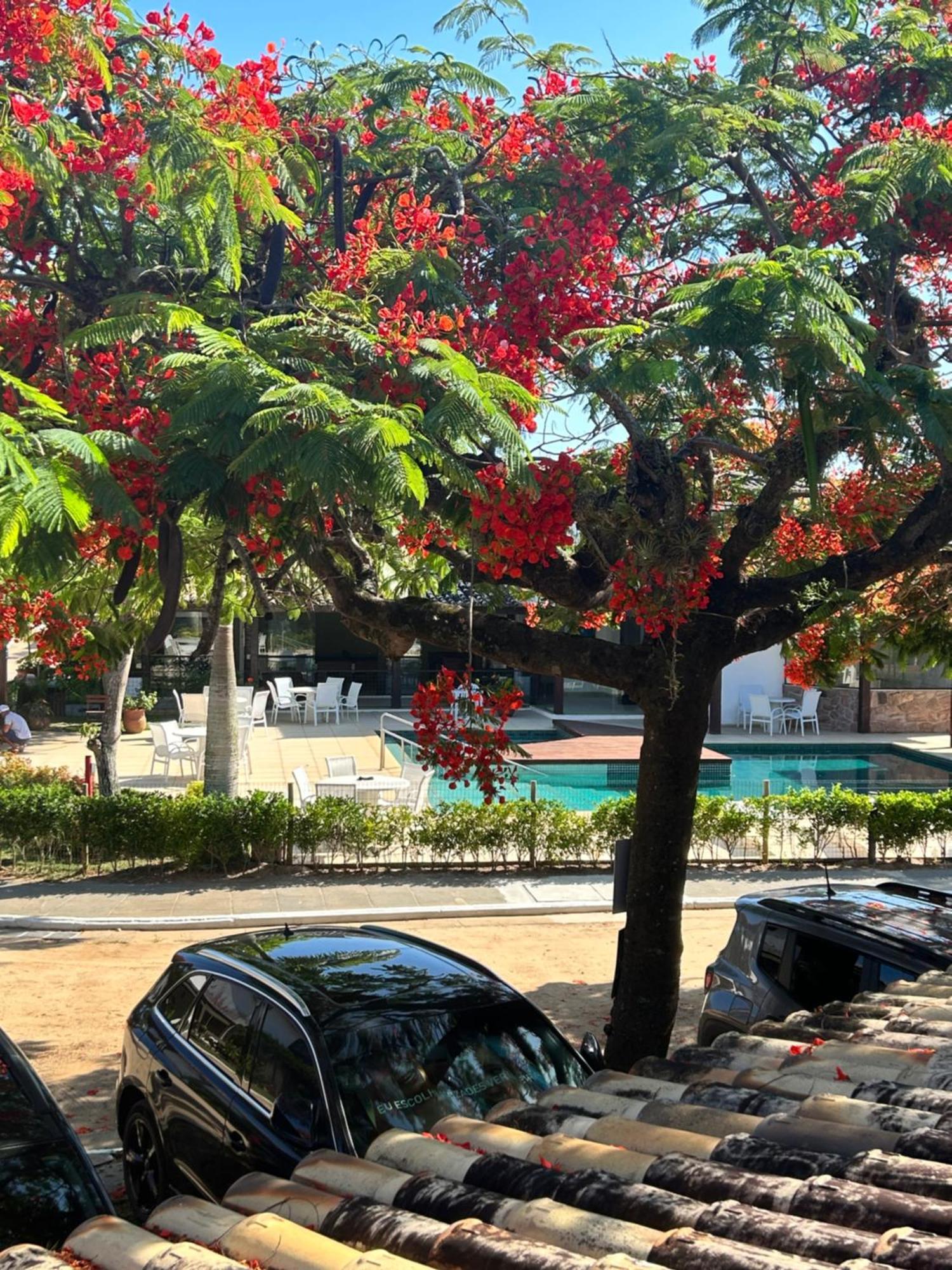 Villa Casa Em Manguinhos-Buzios Exterior foto